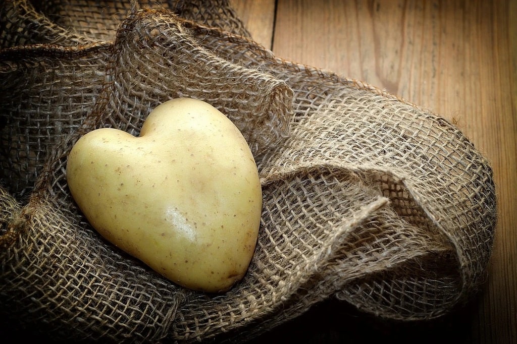 Utliser le thon pour cuisiner une variante du hachis parmentier classique