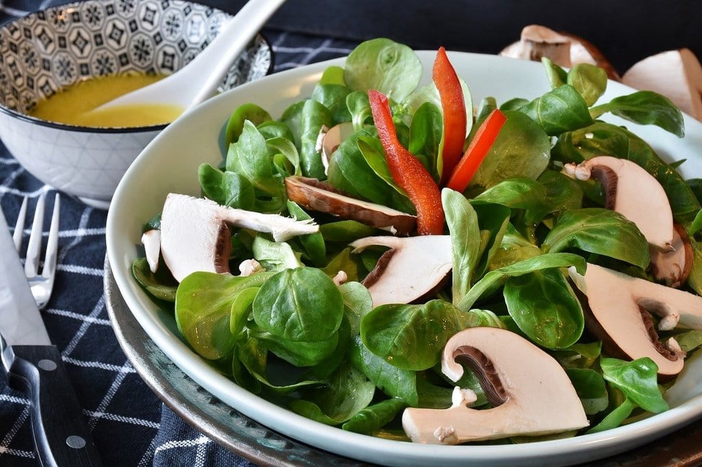Transformer ses habitudes avec le plateau repas réutilisable